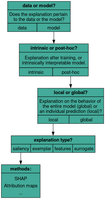 taxonomy_transparency_5.png